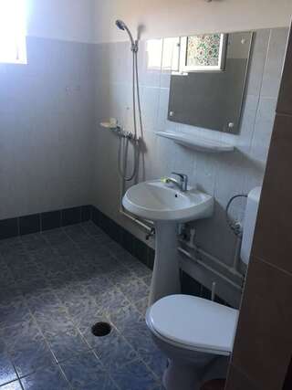 Проживание в семье Vila Bradut Vama Veche Вама-Веке Стандартный двухместный номер с 1 кроватью и общей ванной комнатой-1
